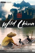 Watch Vodly Wild China Online